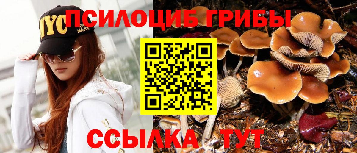 Галлюциногенные грибы Psilocybe  Галлюциногенные грибы MAGIC MUSHROOMS  Вход с VPN  Нижний Тагил 