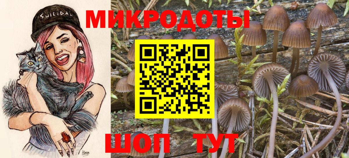 Псилоцибиновые грибы Cubensis Нижний Тагил